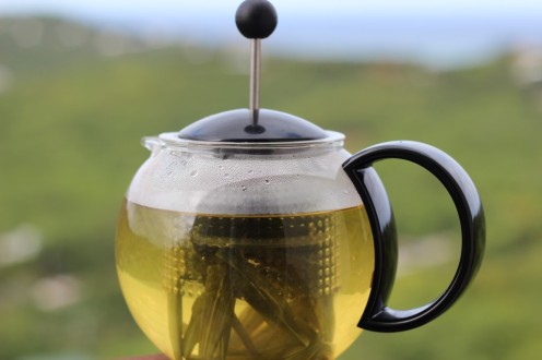 bush tea via crucian contesssa