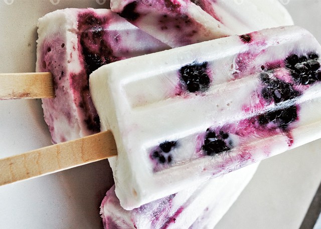 frozen yogurt blackberry ice pops via food republic